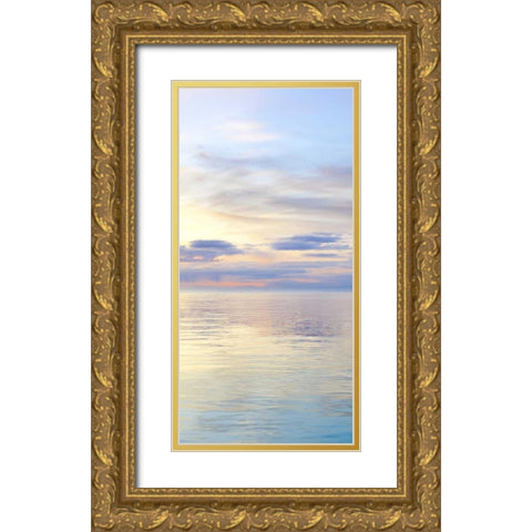 Washington, San Juan Islands Seascape at sunset Gold Ornate Wood Framed Art Print with Double Matting by Paulson, Don