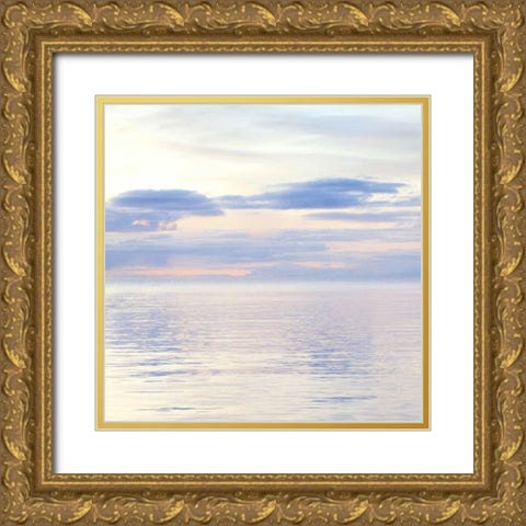 Washington, San Juan Islands Seascape at sunset Gold Ornate Wood Framed Art Print with Double Matting by Paulson, Don