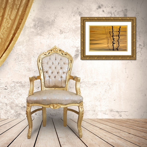 Washington Sailboat mast reflection at sunset Gold Ornate Wood Framed Art Print with Double Matting by Paulson, Don