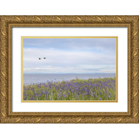 WA, San Juans Camas flowers on Patos Island Gold Ornate Wood Framed Art Print with Double Matting by Paulson, Don