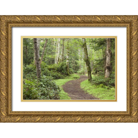 WA, San Juans, Stuart Island Trail through woods Gold Ornate Wood Framed Art Print with Double Matting by Paulson, Don