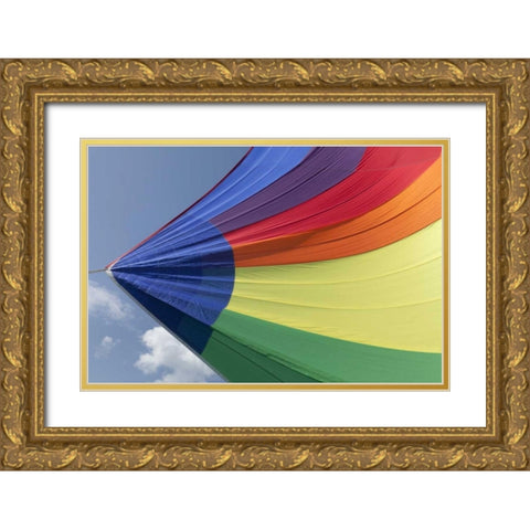WA, San Juans Underside view of spinnaker flying Gold Ornate Wood Framed Art Print with Double Matting by Paulson, Don