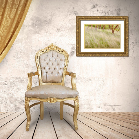 Washington, San Juans Grasses and madrone trees Gold Ornate Wood Framed Art Print with Double Matting by Paulson, Don