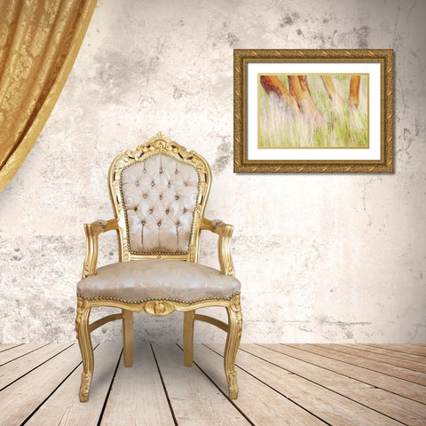Washington, San Juans Grasses and madrone trees Gold Ornate Wood Framed Art Print with Double Matting by Paulson, Don