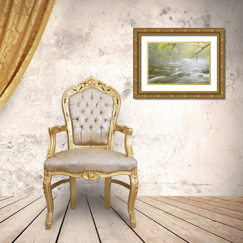 WA, Cascade Mts Cascading water in Beckler River Gold Ornate Wood Framed Art Print with Double Matting by Paulson, Don