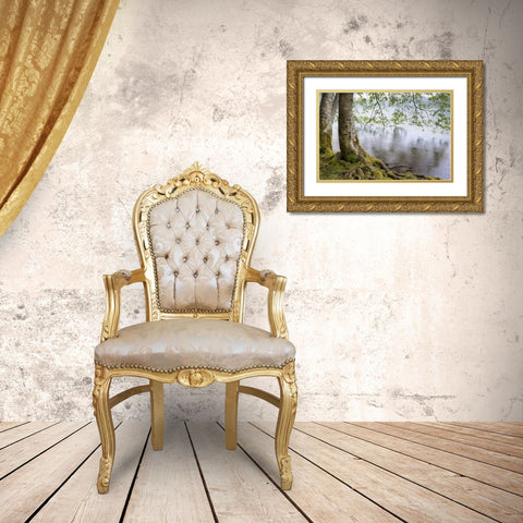 WA, Olympic NP Alders overhanging Lake Crescent Gold Ornate Wood Framed Art Print with Double Matting by Paulson, Don