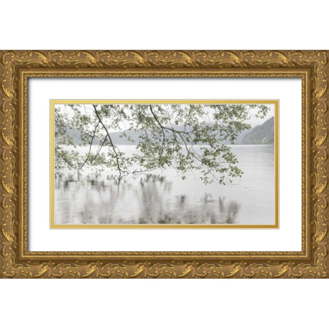 WA, Olympic NP Alders overhanging Lake Crescent Gold Ornate Wood Framed Art Print with Double Matting by Paulson, Don