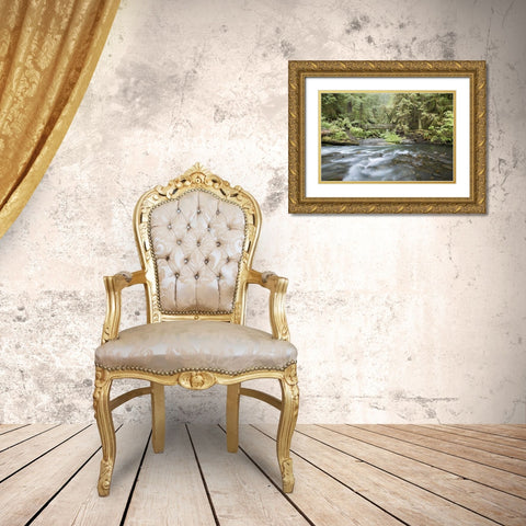WA, Olympic NP Barnes Creek flows through forest Gold Ornate Wood Framed Art Print with Double Matting by Paulson, Don