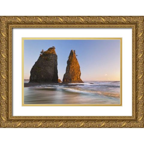 WA, Olympic NP Sunset on Rialto Beach Gold Ornate Wood Framed Art Print with Double Matting by Paulson, Don
