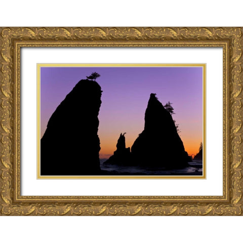 WA, Olympic NP Sunset on Rialto Beach sea stacks Gold Ornate Wood Framed Art Print with Double Matting by Paulson, Don