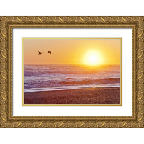 WA, Olympic NP Canada geese over Rialto Beach Gold Ornate Wood Framed Art Print with Double Matting by Paulson, Don