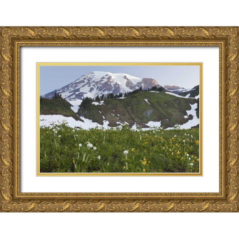 WA, Mt Rainier NP Sunrise on meadow with flowers Gold Ornate Wood Framed Art Print with Double Matting by Paulson, Don