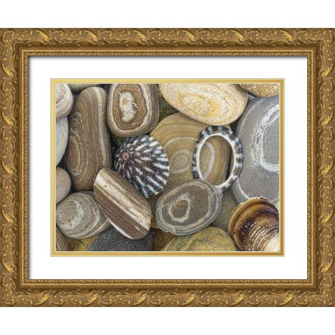 Washington, Seabeck Beach stones and shells Gold Ornate Wood Framed Art Print with Double Matting by Paulson, Don