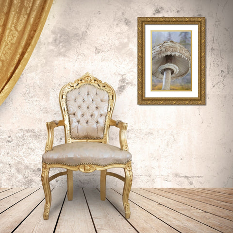 WA, Seabeck Underside of shaggy parasol mushroom Gold Ornate Wood Framed Art Print with Double Matting by Paulson, Don
