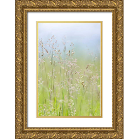 USA, Washington, Seabeck Grasses in motion Gold Ornate Wood Framed Art Print with Double Matting by Paulson, Don