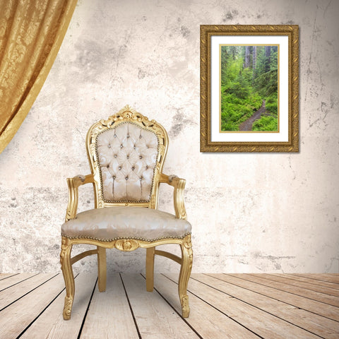 USA, Washington, Olympic NP Forest trail Gold Ornate Wood Framed Art Print with Double Matting by Paulson, Don