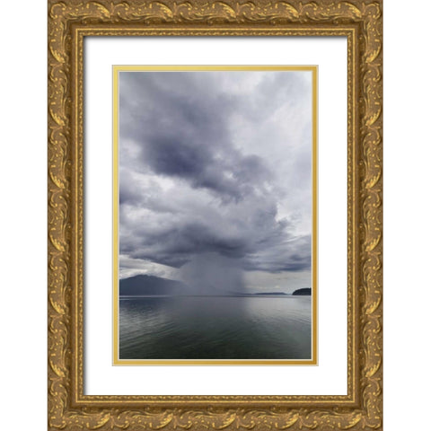 Washington, Seabeck Rainstorm over Hood Canal Gold Ornate Wood Framed Art Print with Double Matting by Paulson, Don