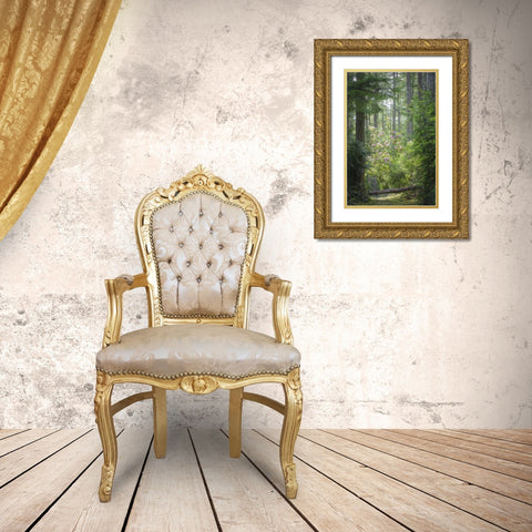WA, Seabeck Rhododendron blooms in a forest Gold Ornate Wood Framed Art Print with Double Matting by Paulson, Don