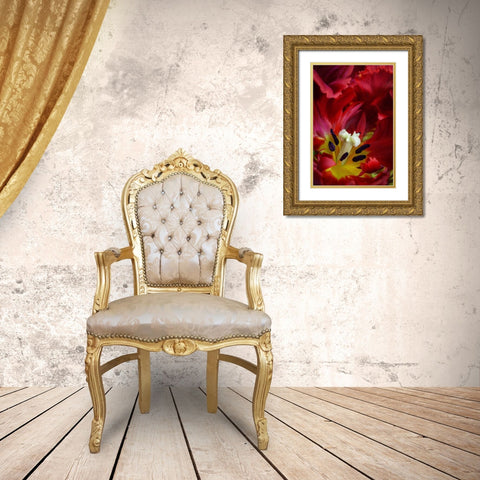 WA, Seabeck Interior of parrot tulip flower Gold Ornate Wood Framed Art Print with Double Matting by Paulson, Don