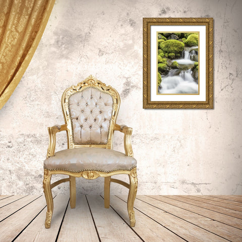 Washington, Olympic NP Small stream in forest Gold Ornate Wood Framed Art Print with Double Matting by Paulson, Don