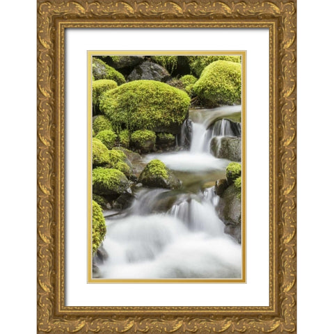 Washington, Olympic NP Small stream in forest Gold Ornate Wood Framed Art Print with Double Matting by Paulson, Don