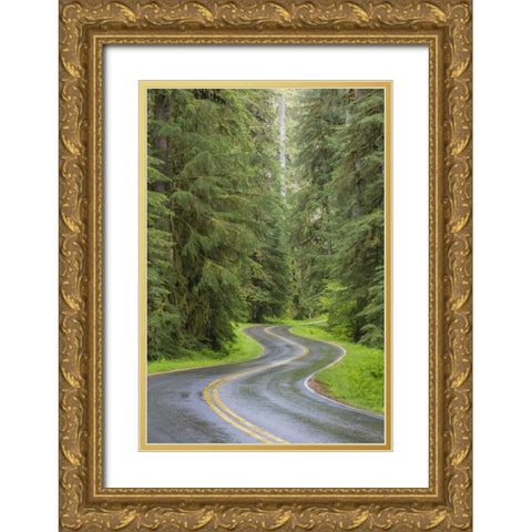 WA, Olympic NP Sol Duc River Road through forest Gold Ornate Wood Framed Art Print with Double Matting by Paulson, Don