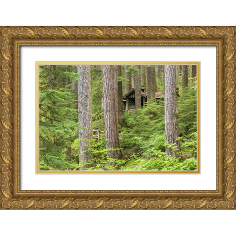 USA, Washington, Olympic NP Forest cabin shelter Gold Ornate Wood Framed Art Print with Double Matting by Paulson, Don
