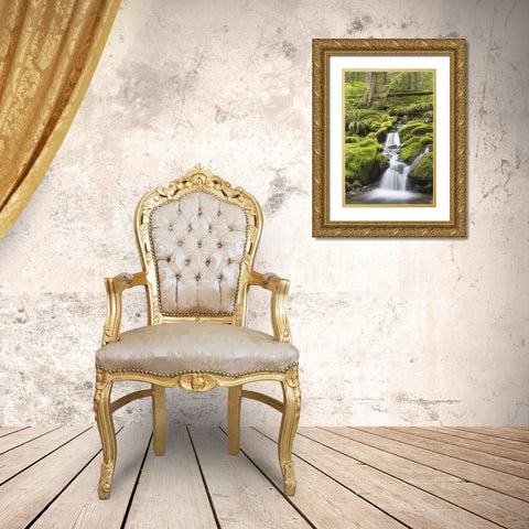 Washington, Olympic NP Small stream in forest Gold Ornate Wood Framed Art Print with Double Matting by Paulson, Don