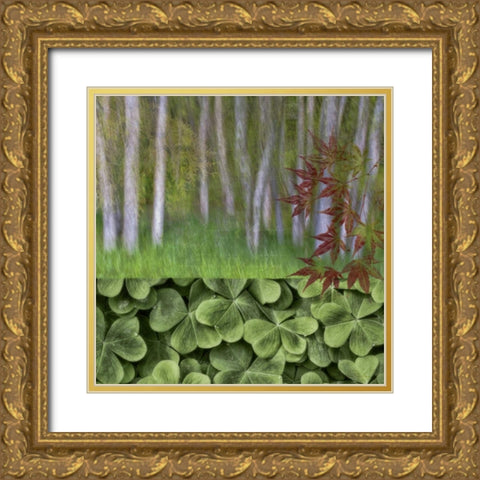 Washington Collage of alder trees and oxalis Gold Ornate Wood Framed Art Print with Double Matting by Paulson, Don