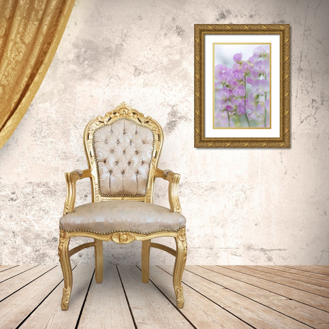 USA, Washington, Seabeck Sweet pea blossoms Gold Ornate Wood Framed Art Print with Double Matting by Paulson, Don