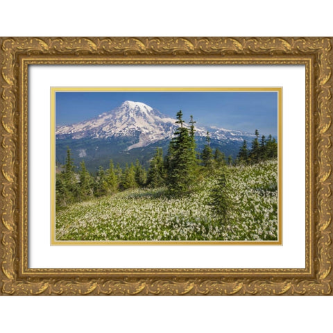 Washington Avalanche lilies and Mount Rainier Gold Ornate Wood Framed Art Print with Double Matting by Paulson, Don