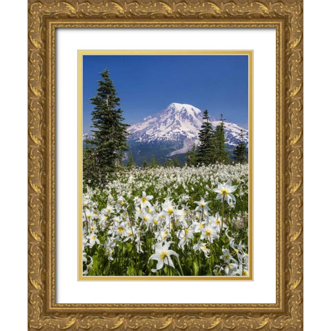 Washington Avalanche lilies and Mount Rainier Gold Ornate Wood Framed Art Print with Double Matting by Paulson, Don