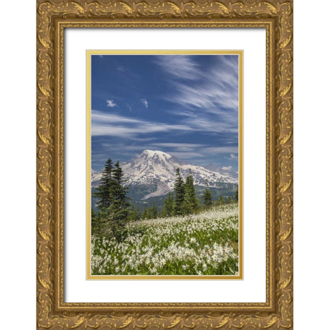 Washington Avalanche lilies and Mount Rainier Gold Ornate Wood Framed Art Print with Double Matting by Paulson, Don
