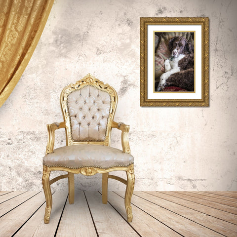 Washington English springer spaniel on couch Gold Ornate Wood Framed Art Print with Double Matting by Paulson, Don