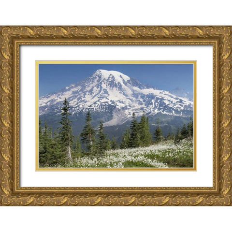 Washington Avalanche lilies and Mount Rainier Gold Ornate Wood Framed Art Print with Double Matting by Paulson, Don