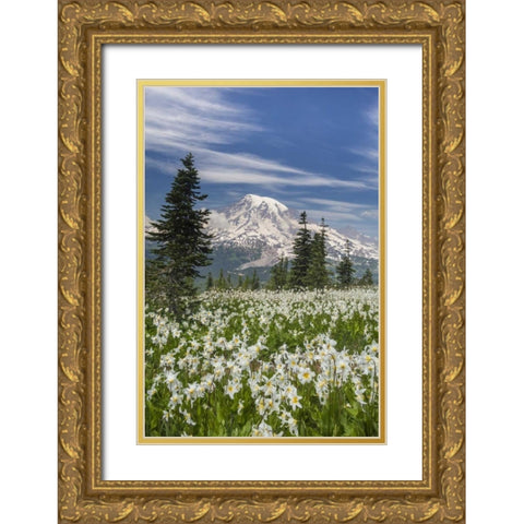 Washington Avalanche lilies and Mount Rainier Gold Ornate Wood Framed Art Print with Double Matting by Paulson, Don