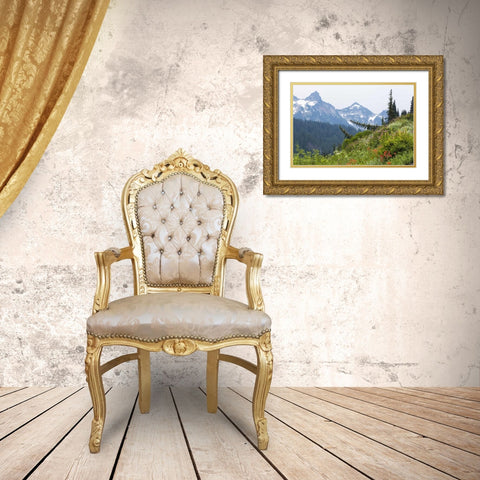 WA Alpine meadow and Tatoosh Range Gold Ornate Wood Framed Art Print with Double Matting by Paulson, Don