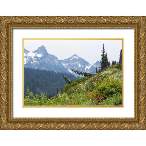 WA Alpine meadow and Tatoosh Range Gold Ornate Wood Framed Art Print with Double Matting by Paulson, Don