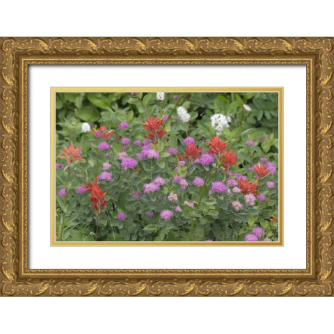 Washington, Mount Rainier NP Wildflowers Gold Ornate Wood Framed Art Print with Double Matting by Paulson, Don