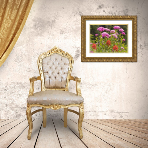 Washington, Mount Rainier NP Wildflowers Gold Ornate Wood Framed Art Print with Double Matting by Paulson, Don