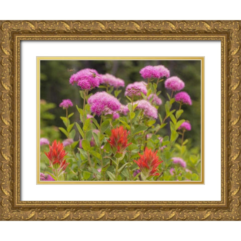 Washington, Mount Rainier NP Wildflowers Gold Ornate Wood Framed Art Print with Double Matting by Paulson, Don
