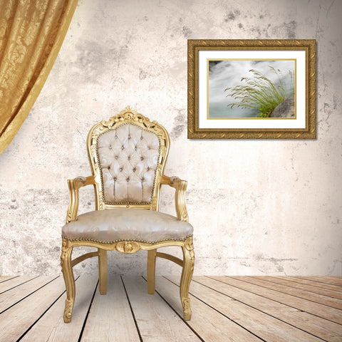 WA, Mount Rainier NP Grass and rushing water Gold Ornate Wood Framed Art Print with Double Matting by Paulson, Don