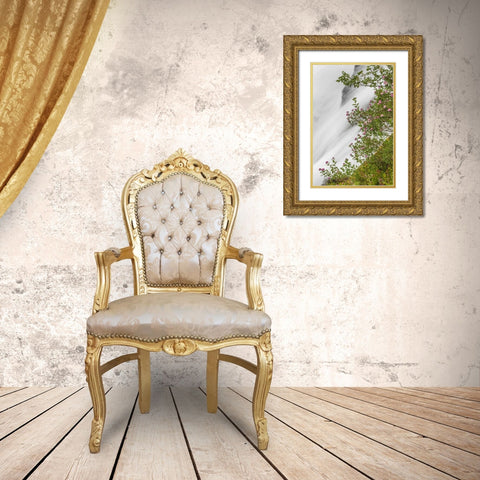 WA, Mount Rainier NP Waterfall in Paradise Creek Gold Ornate Wood Framed Art Print with Double Matting by Paulson, Don