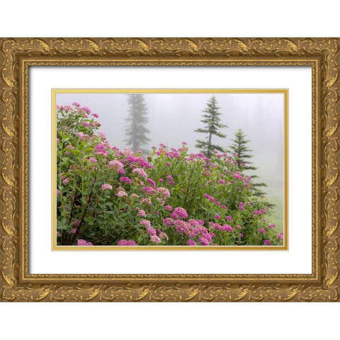 Washington, Mount Rainier NP Wildflowers Gold Ornate Wood Framed Art Print with Double Matting by Paulson, Don