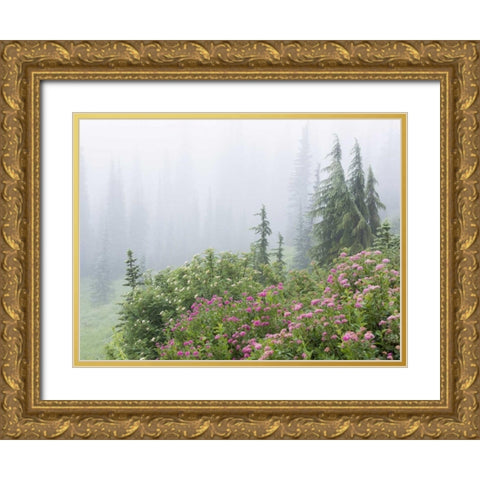 WA, Mount Rainier NP flowers in misty forest Gold Ornate Wood Framed Art Print with Double Matting by Paulson, Don