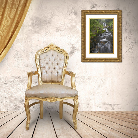 WA, Mount Rainier NP Cascades on Sunbeam Creek Gold Ornate Wood Framed Art Print with Double Matting by Paulson, Don