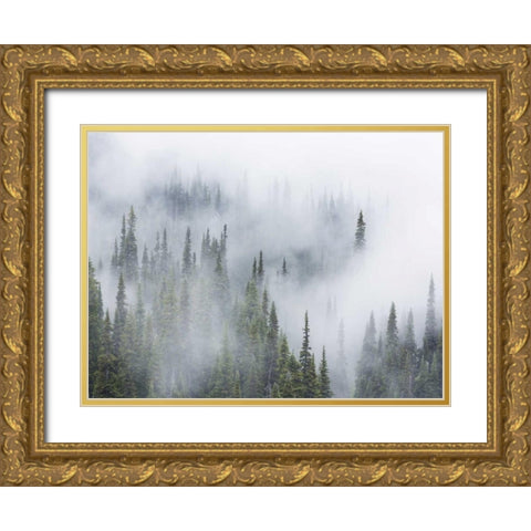 WA, Mount Rainier NP Landscape of fog in forest Gold Ornate Wood Framed Art Print with Double Matting by Paulson, Don
