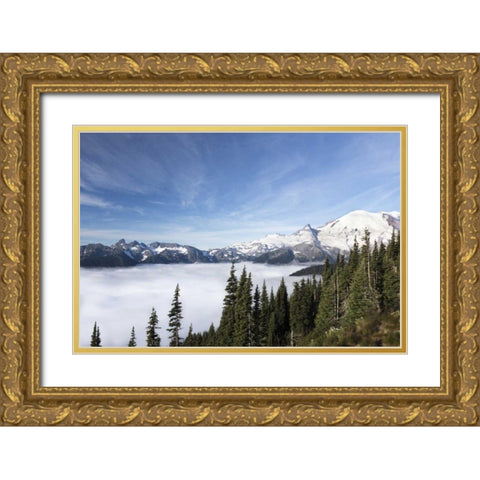 Washington, Mount Rainier NP Sunrise Point Gold Ornate Wood Framed Art Print with Double Matting by Paulson, Don