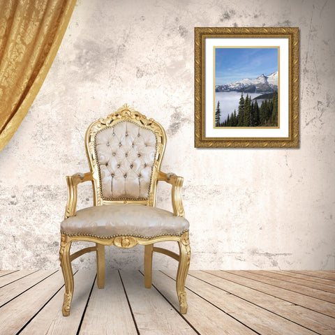 Washington, Mount Rainier NP Sunrise Point Gold Ornate Wood Framed Art Print with Double Matting by Paulson, Don