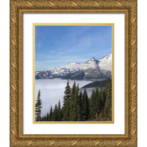 Washington, Mount Rainier NP Sunrise Point Gold Ornate Wood Framed Art Print with Double Matting by Paulson, Don